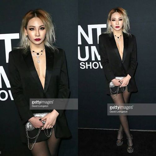 Imagini pentru cl saint laurent 2ne