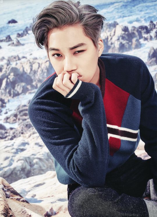 a6964f49757514d1e6fb2adedfe1481f--kim-jongin-seasons