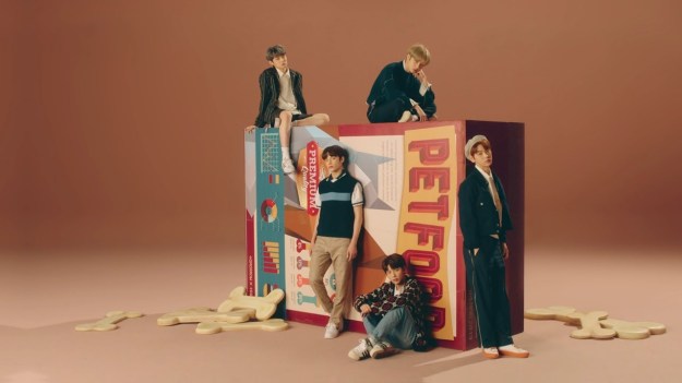 Imagini pentru txt cat & dog teaser