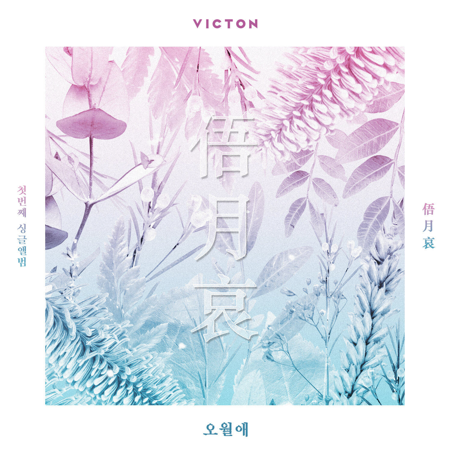 Victon - Single Album — KAskew